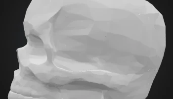 Скелет ваза 3