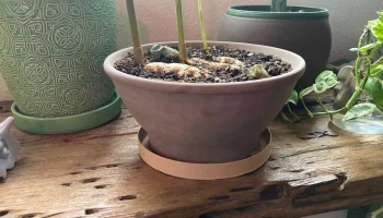 Блюдо для воды для завода быстрой печати Блюдо для воды для завода быстрой печати