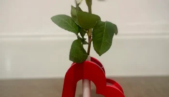 Herz mit Vase & Personalisierbarem Schriftzug 1
