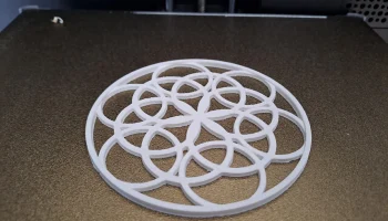 Circled coasters 2
