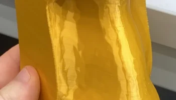Nose Vase