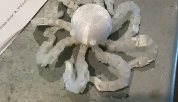 Шарнирный мультяшный осьминог
