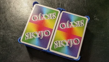 Дорожный футляр Skyjo 1