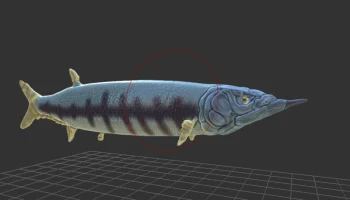 Saurodon Saurodon