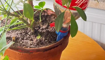 Поливочная насадка, удлиненная, режим вазы.... 7