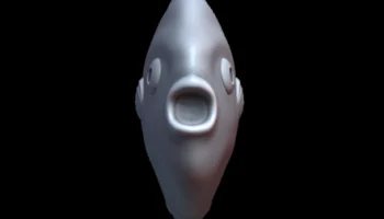 Mola Mola 2