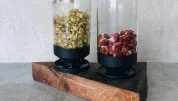 All-in-one sprout growing jar strainer
