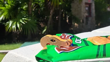 Chip Clip