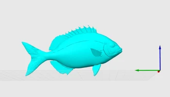 Белый морской лещ/рыба сарго (Diplodus sargus)... 1