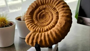 Аммонитская скульптура