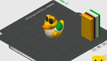 Koopa Troopa Duck 5