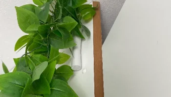 Vine Vase 1