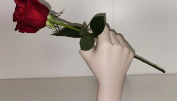 Скульптура "Цветок, держащая руку"...... 5