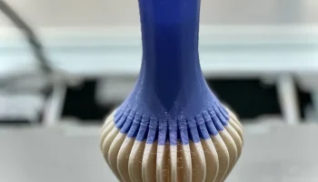 The vase 1