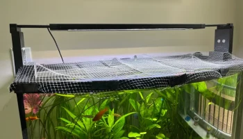 Светильник Fluval для переднего аквариума 36G Top Fin Bow Светильник Fluval для переднего аквариума 36G Top Fin Bow