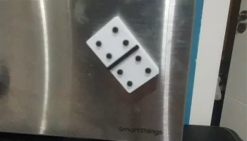 ВСЕ магниты Domino AMS и NO AMS