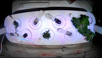 Click and Grow Smart Garden 9 + крепление Eufy Solo Indo... 1