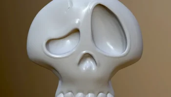 SUS Skull