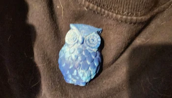Owl brooch