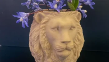 LION Ваза-ваза-горшок 1