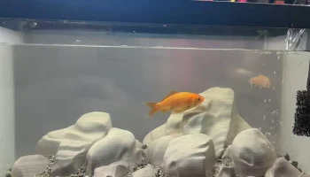 Аквариум для аквариума Rock Aquascape украшение... 1