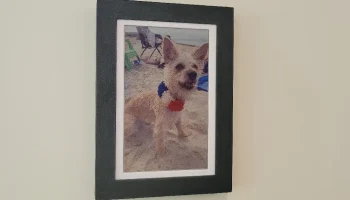 Рамка Waveshare e-ink ESP32 S3 PhotoPainter 1