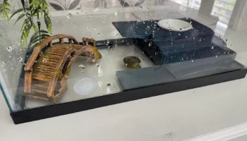 Donatello Baby Turtle Island для аквариумов на 5 галлонов...