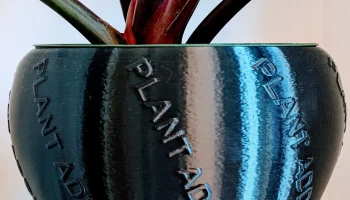 Ваза "Пристрастие к растениям" (режим "Ваза")...