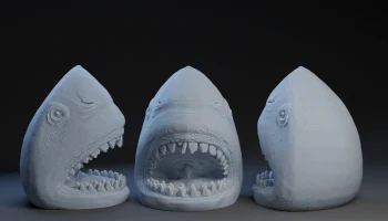 Shark Head Shark Head