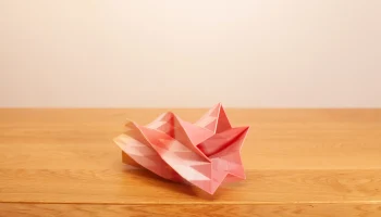 Star vase. 5