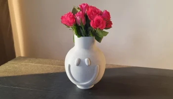Smile Vase