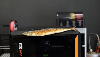 CORE One Fish (с цветной текстурой)