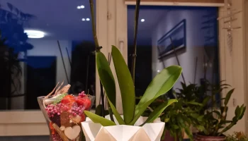 Ваза/горшок Presswerk65 №1 4