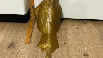 Llama Jar 9