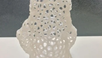 Voronoi MakerBot Gnome 1