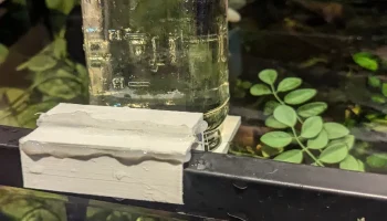 Панорамный вид на рыбу с помощью Jar...