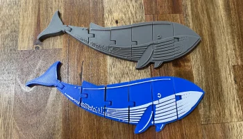 Печать на месте Flexi Whale