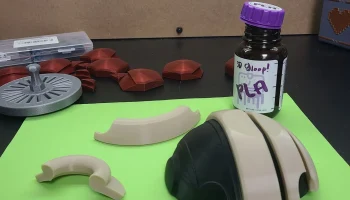 Контейнер из черепашьего панциря... 5