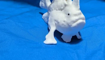 Frogfish 1