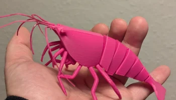 3D модель подвижной креветки 2