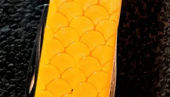 Рыбья чешуя плюс Рыбья чешуя плюс