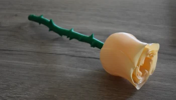 Толстый стебель для спиральной вазы-розы... 1