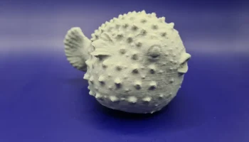 Blowfish 3