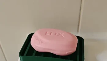 Soap Dish 1