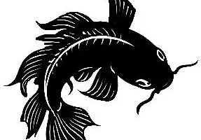 Fish 3
