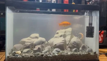Аквариум для аквариума Rock Aquascape украшение...