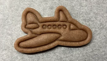 Aircraft cookie cutter 2