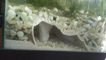 Aquarium Cave 1 Remix - Snail Escape Hole Edition