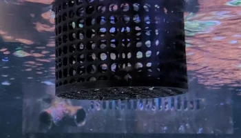 Корзина с клапаном для кормления D-D JumpGuard 1