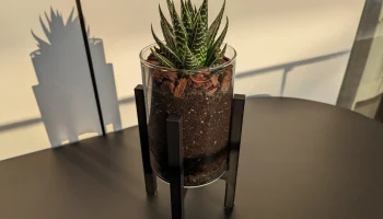 Vase Stand